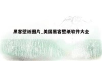 黑客壁纸图片_美国黑客壁纸软件大全