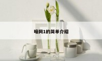 暗网1的简单介绍