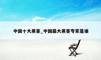 中国十大黑客_中国最大黑客专家是谁
