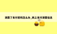 泄露了支付密码怎么办_网上支付泄露信息