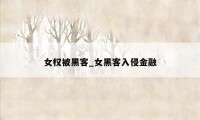女权被黑客_女黑客入侵金融