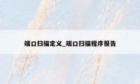 端口扫描定义_端口扫描程序报告