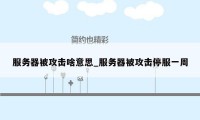 服务器被攻击啥意思_服务器被攻击停服一周