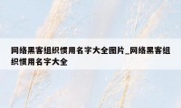 网络黑客组织惯用名字大全图片_网络黑客组织惯用名字大全