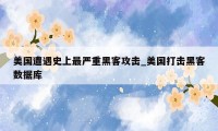 美国遭遇史上最严重黑客攻击_美国打击黑客数据库