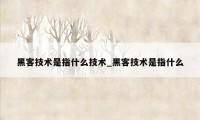黑客技术是指什么技术_黑客技术是指什么
