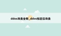 ddos攻击全称_ddos标志位攻击