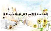 黑客攻击公司内网_黑客技术能进入企业内网吗