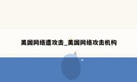 美国网络遭攻击_美国网络攻击机构