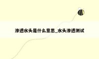 渗透水头是什么意思_水头渗透测试