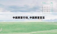 中国黑客行动_中国黑客宣言