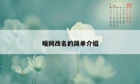 暗网改名的简单介绍