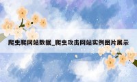 爬虫爬网站数据_爬虫攻击网站实例图片展示