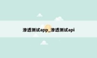 渗透测试app_渗透测试api