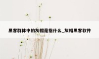 黑客群体中的灰帽是指什么_灰帽黑客软件
