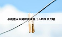 手机进入暗网应该注意什么的简单介绍