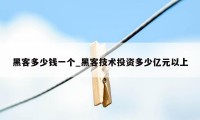 黑客多少钱一个_黑客技术投资多少亿元以上