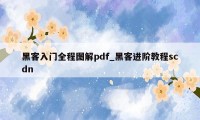 黑客入门全程图解pdf_黑客进阶教程scdn