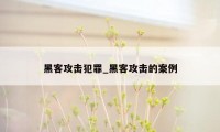 黑客攻击犯罪_黑客攻击的案例