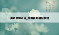 肉鸡黑客术语_黑客肉鸡刷钻教程
