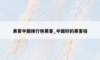黑客中国排行榜黑客_中国好的黑客培