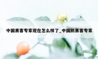 中国黑客专家现在怎么样了_中国防黑客专家