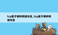 tcp属于哪种网络攻击_tcp属于哪种网络攻击