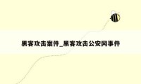 黑客攻击案件_黑客攻击公安网事件