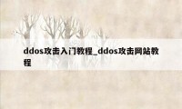 ddos攻击入门教程_ddos攻击网站教程