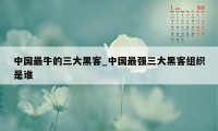 中国最牛的三大黑客_中国最强三大黑客组织是谁