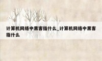 计算机网络中黑客指什么_计算机网络中黑客指什么