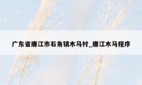 广东省廉江市石角镇木马村_廉江木马程序