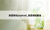 渗透测试payload_渗透测试爬虫