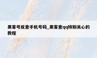 黑客号反查手机号码_黑客查qq特别关心的教程