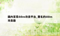 国内首家ddos攻击平台_著名的ddos攻击器