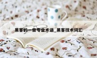 黑客的一些专业术语_黑客技术词汇