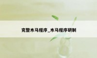 完整木马程序_木马程序研制