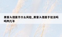 黑客入侵属于什么风险_黑客入侵属于犯法吗吗判几年
