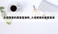 入侵黑客的黑客是谁呀_入侵黑客的黑客是谁