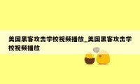 美国黑客攻击学校视频播放_美国黑客攻击学校视频播放