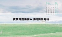夜梦萌雨黑客入侵的简单介绍