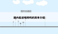 国内能进暗网吗的简单介绍