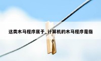 这类木马程序属于_计算机的木马程序是指