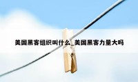 美国黑客组织叫什么_美国黑客力量大吗