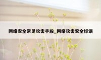网络安全常见攻击手段_网络攻击安全标语