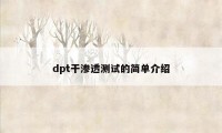 dpt干渗透测试的简单介绍