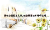 黑峡谷品控怎么样_峡谷黑客技术好吗贴吧