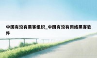 中国有没有黑客组织_中国有没有网络黑客软件