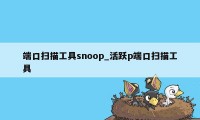 端口扫描工具snoop_活跃p端口扫描工具