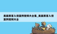 美国黑客入侵案例视频大全集_美国黑客入侵案例视频大全